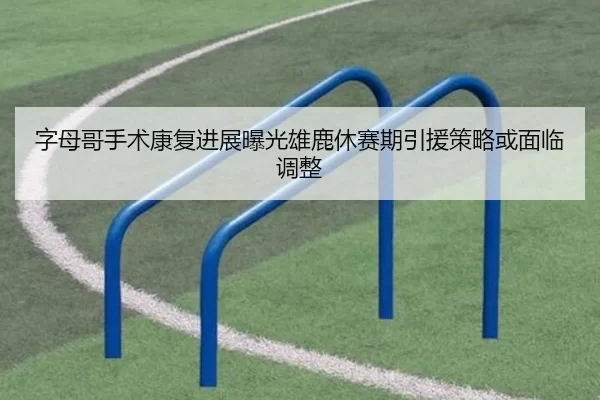 字母哥手术康复进展曝光雄鹿休赛期引援策略或面临调整