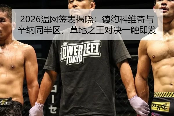 2026温网签表揭晓：德约科维奇与辛纳同半区，草地之王对决一触即发